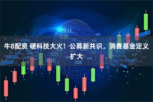 牛8配资 硬科技大火！公募新共识，消费基金定义扩大